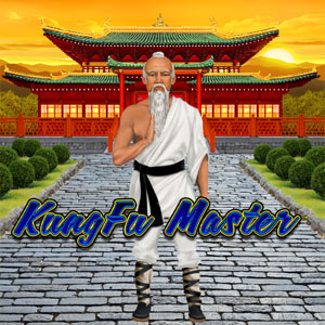 kungfu master